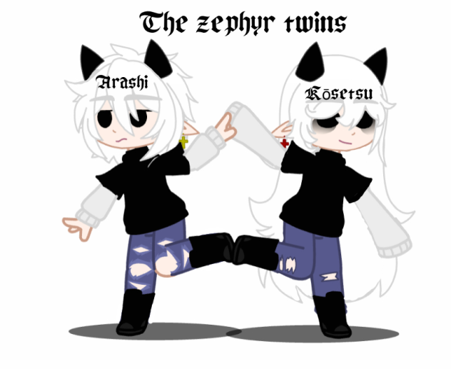 Meet the zephyr twins