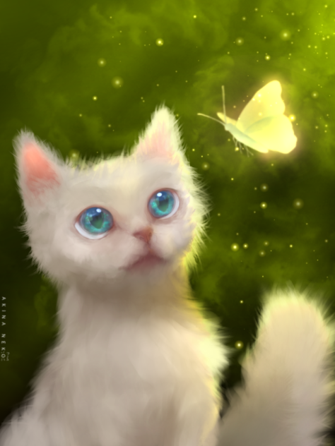 White Kitten