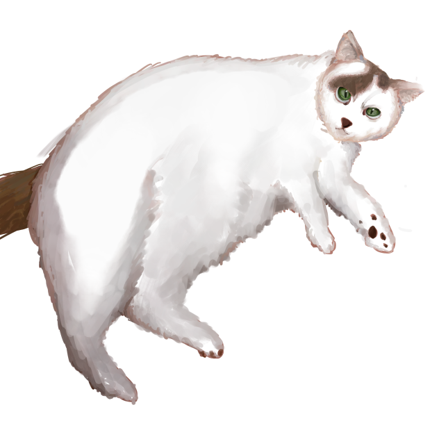 ゆき