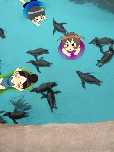 ペンギンと泳ごう♪