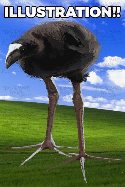 itriedrealismagainandithinkitworked