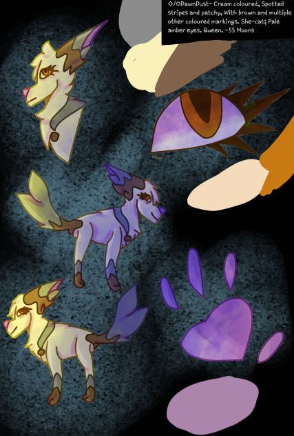 Dawndust Ref+Redesign