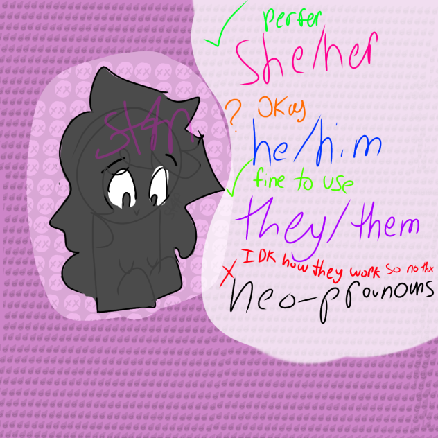preferred prounouns in case u care