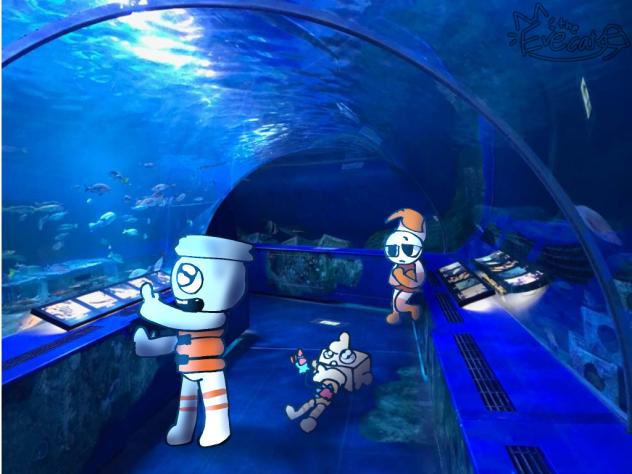 Shrimpo and Finn , goob in aquarium 🐟🪸