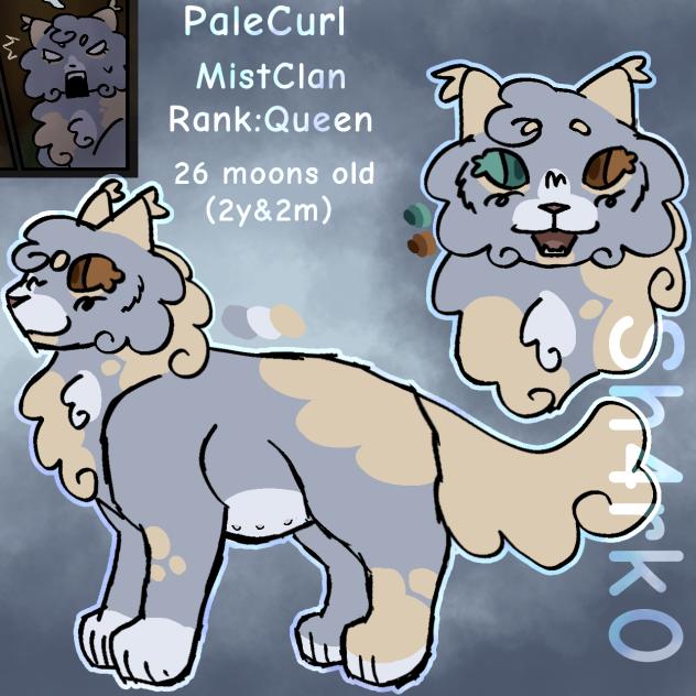 Warrior cats Oc ref sheet 4😡😭