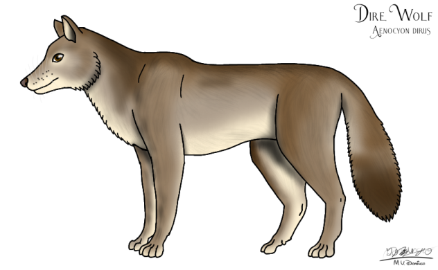 Dire Wolf (South America)
