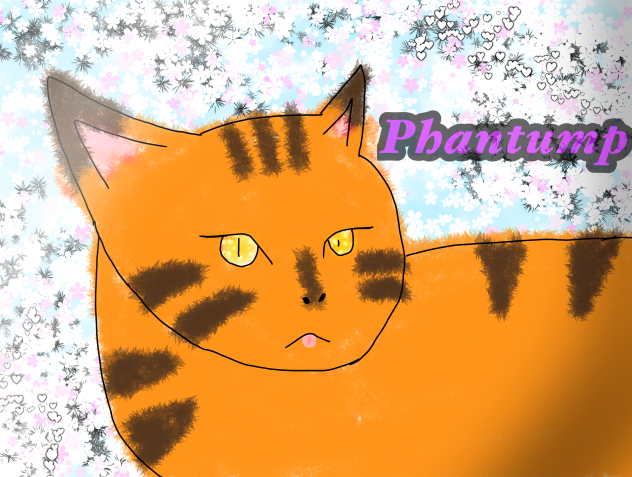 Cat 🐈