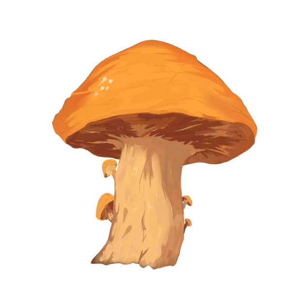 Fall Mushroom