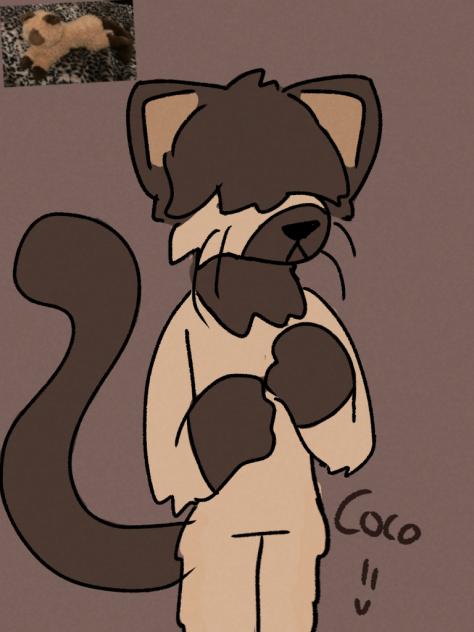 My plush Coco