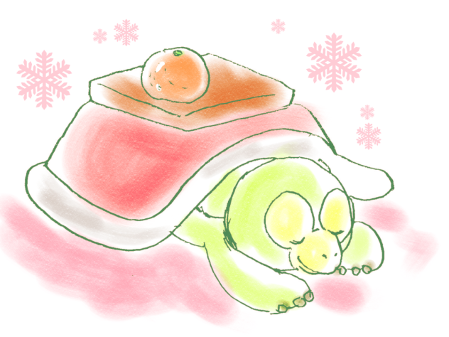 オル君冬の甲羅