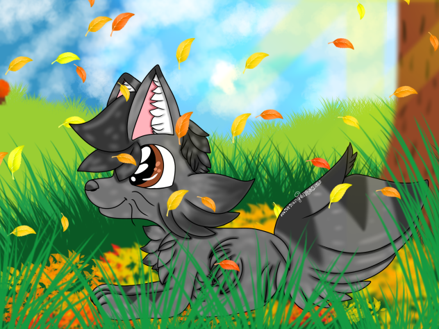 Autumn Cat