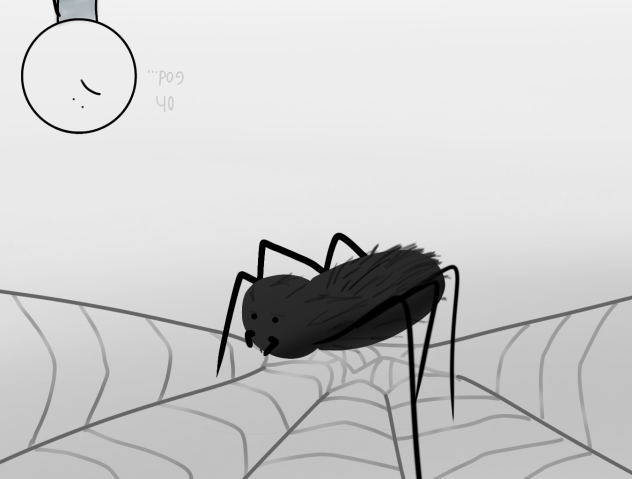 aranha
