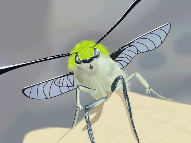 Pellucid hawk moth