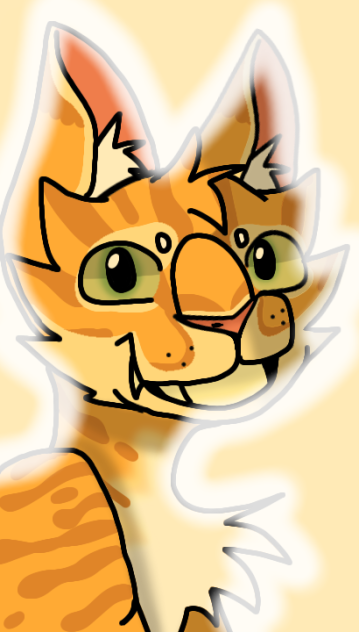 My chaotic orange boy