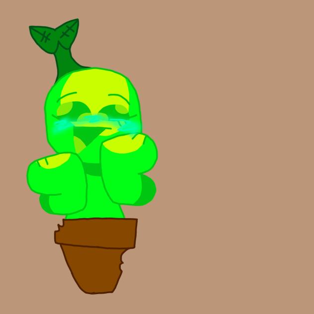Vineira