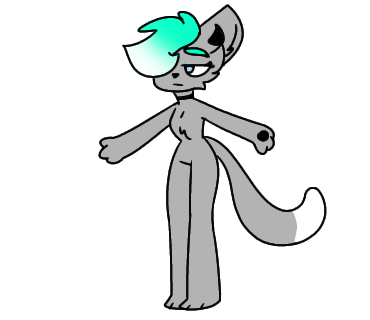 body qwq