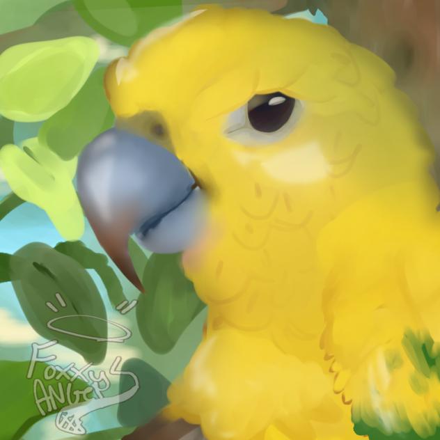 💛💛
