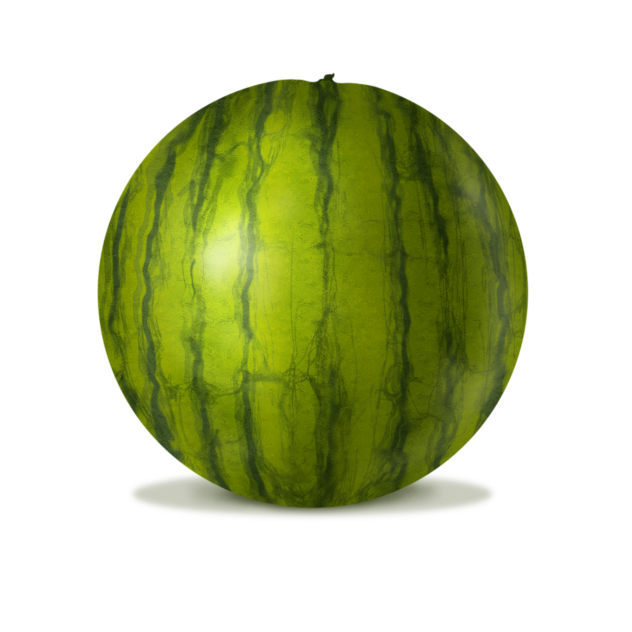 watermelon 02
