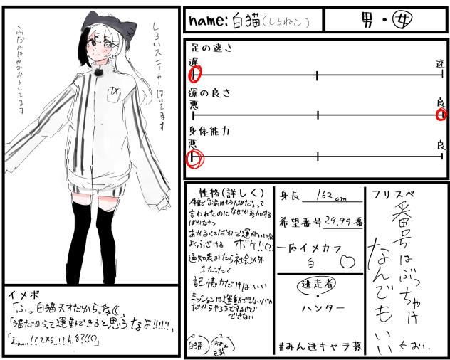 白猫ちゃん！