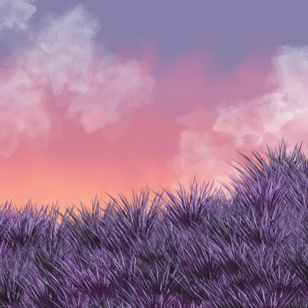 soft skies ✨