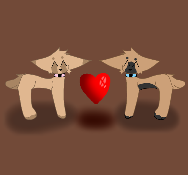 Graham X Cracker