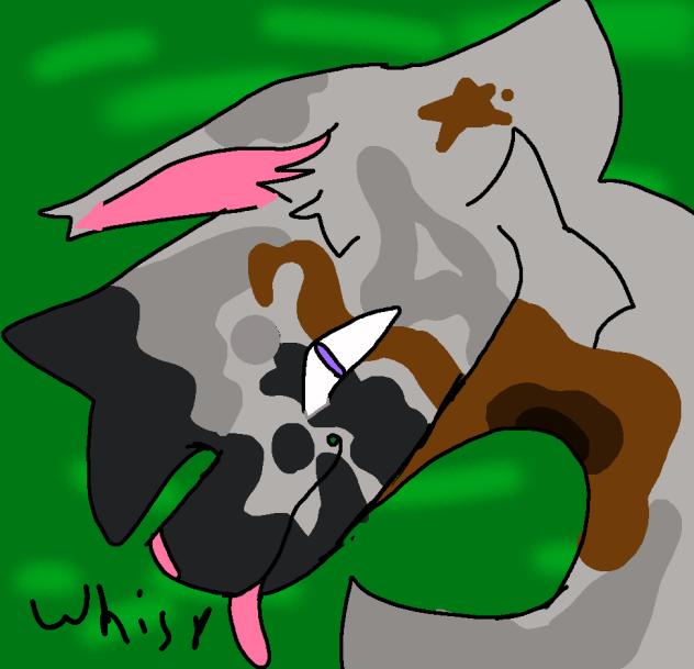 Whisp. also drawing requests are open