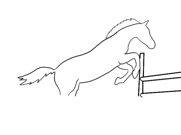 Horse animation