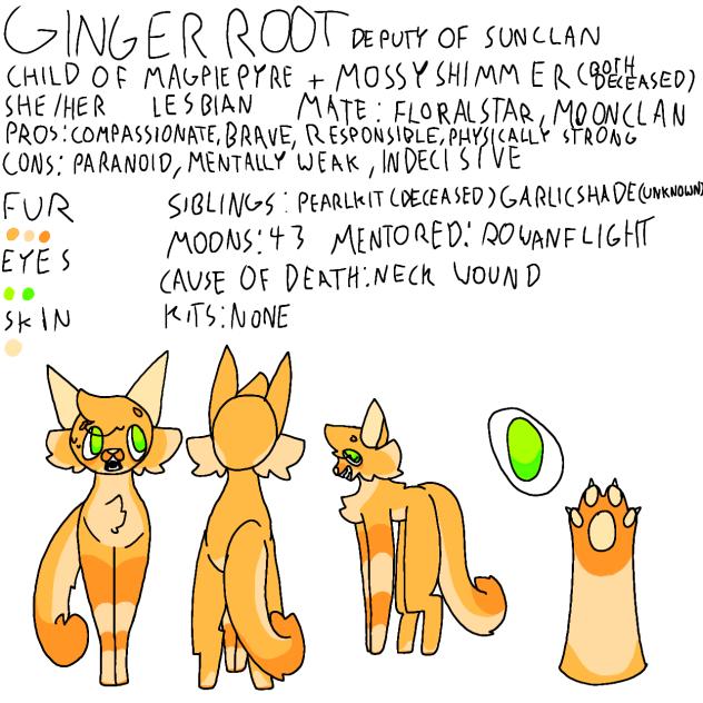 GingerRoot Sheet