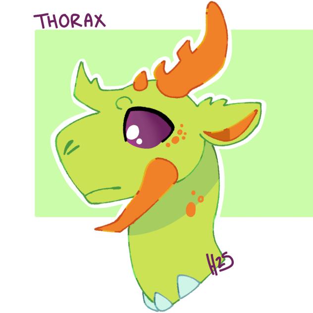 Thorax bc y not