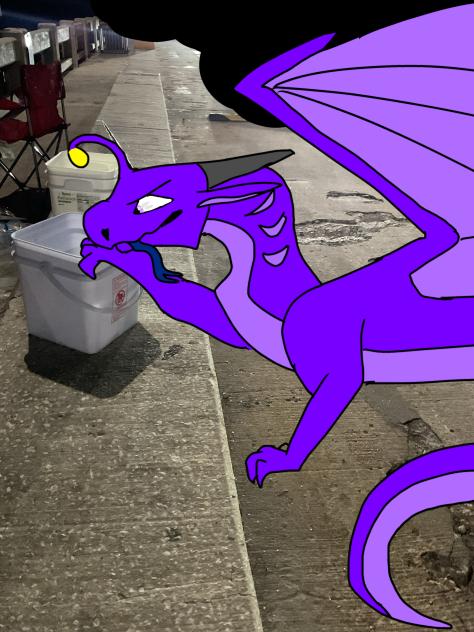 Fathom’s stealing our fish…