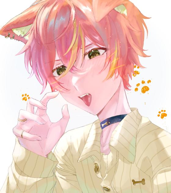 わんわんわん
