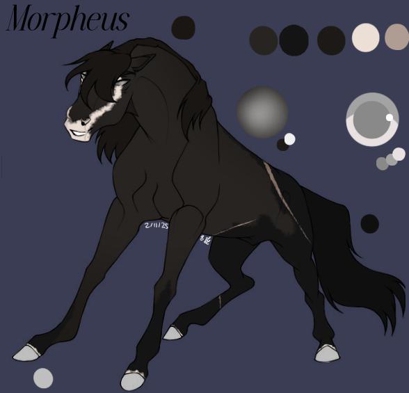 ~ Morpheus ~