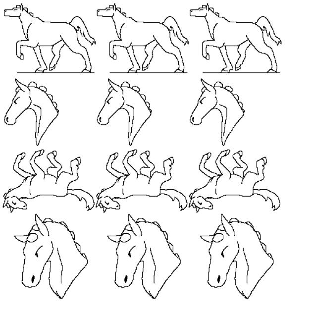 Light Warmblood Gaited base