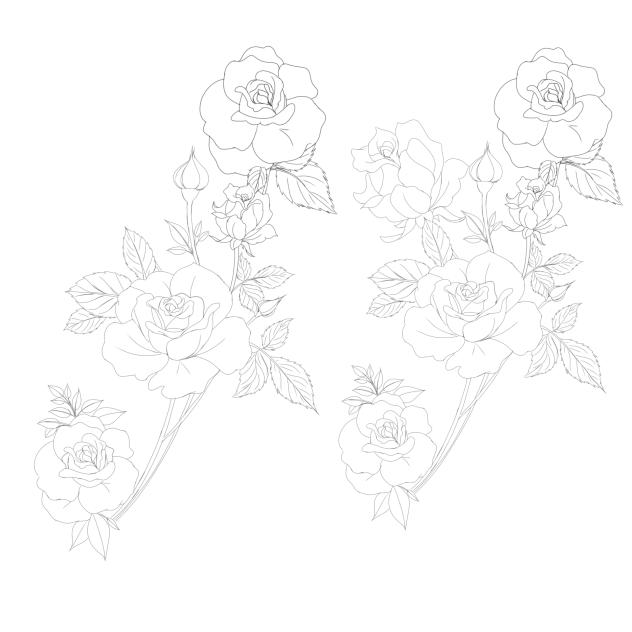 rose 19412~