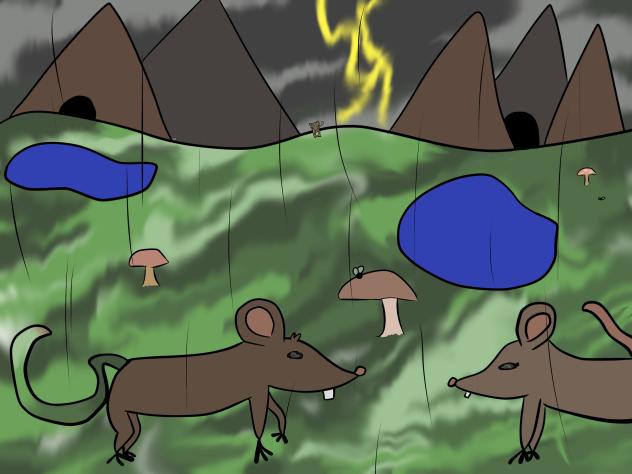 Mountain Mouse