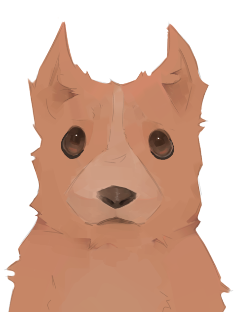 dogg