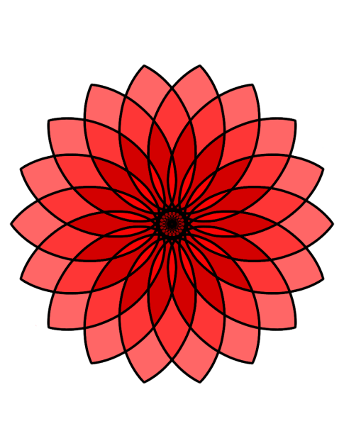 🌼