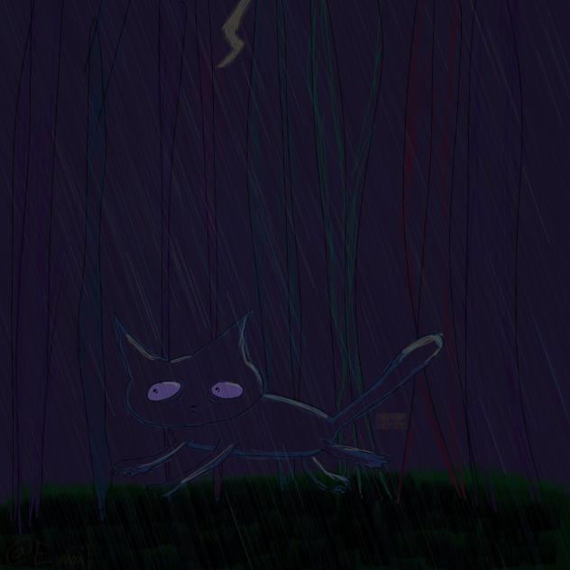 Rainy night...