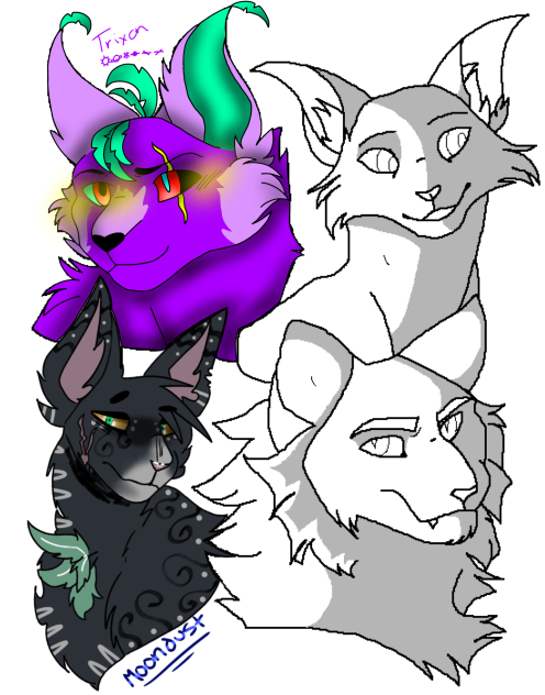 Warrior cat collab