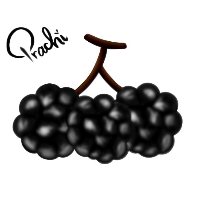Blackberry 🖤