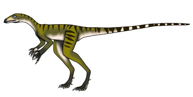 Venetoraptor gassenae render