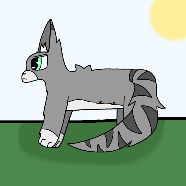 Random cat