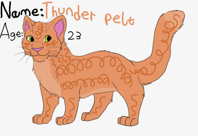 Thunder pelt warrior cat - ibisPaint