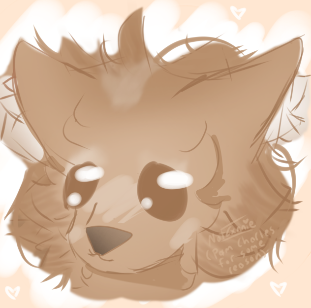 My Pomeranian!! ❤️ ✨