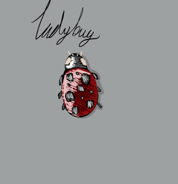 🐞 ladybug 🐞
