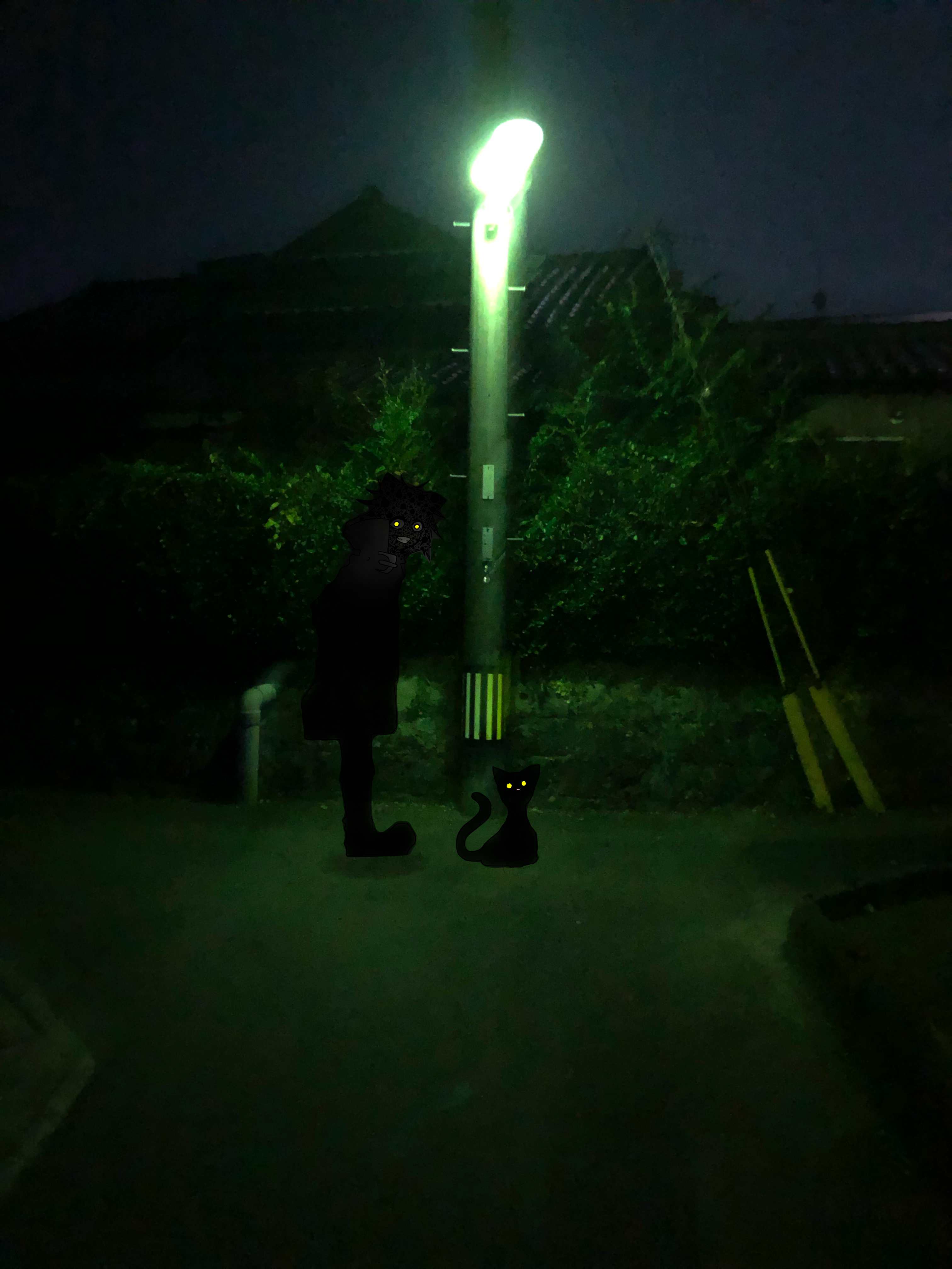 シャノン 深夜徘徊 深夜徘徊 - YouTube