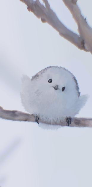 the drop of heaven