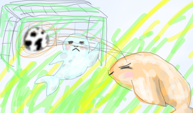 アザラシサッカー