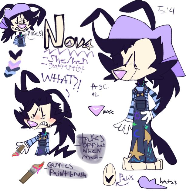 animaniacs oc, NOVAAA