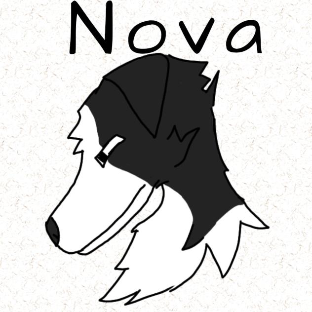 Nova side pf doodle~~